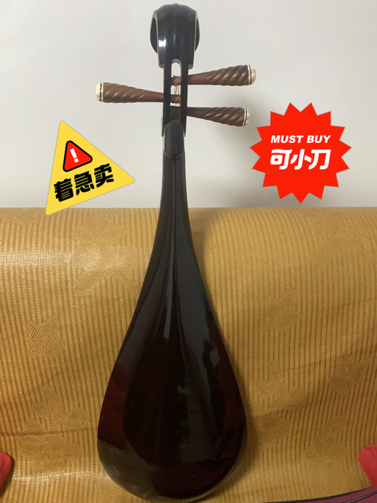 小家伙自用琵琶，练琴多年，买来也3-4千元...