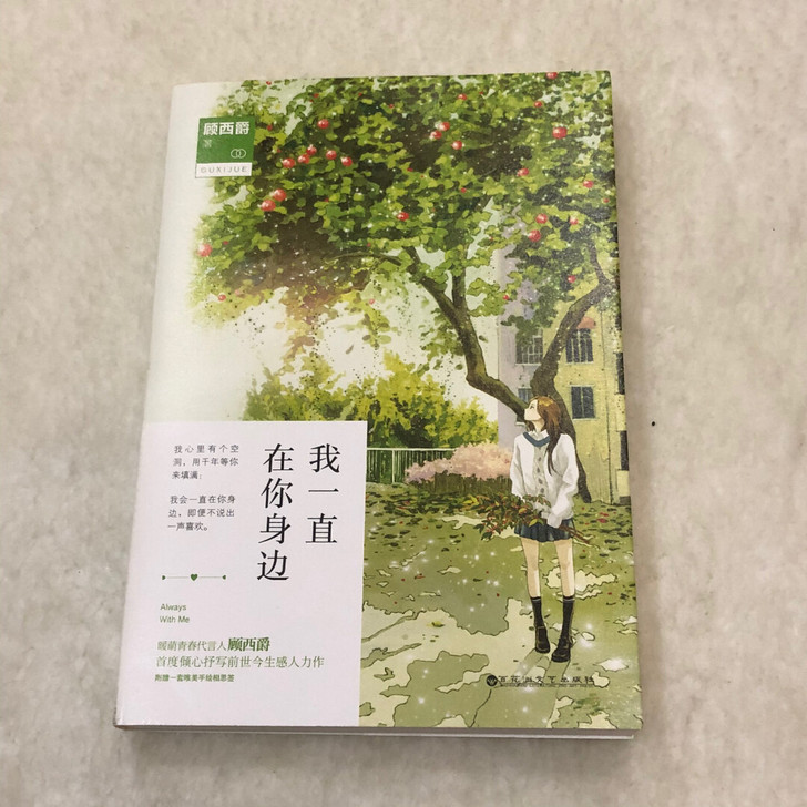 言情小说《我一直在你身边》 (顾西爵)