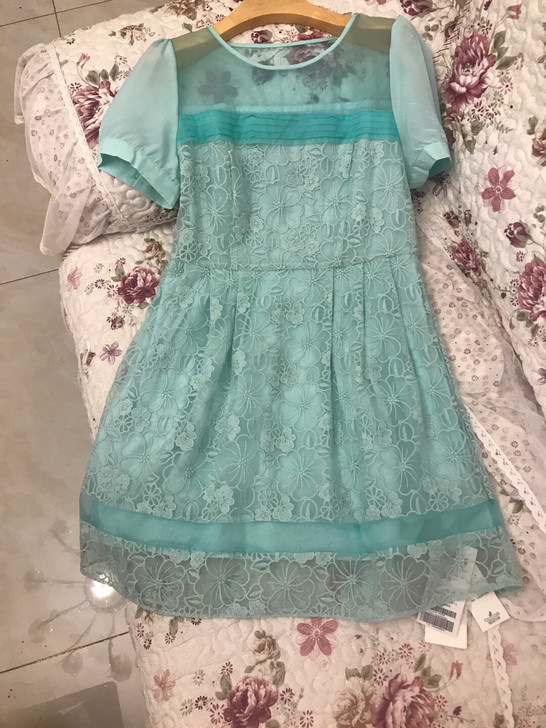 精致蕾丝连衣裙  修身裁剪 高腰设计 表白...