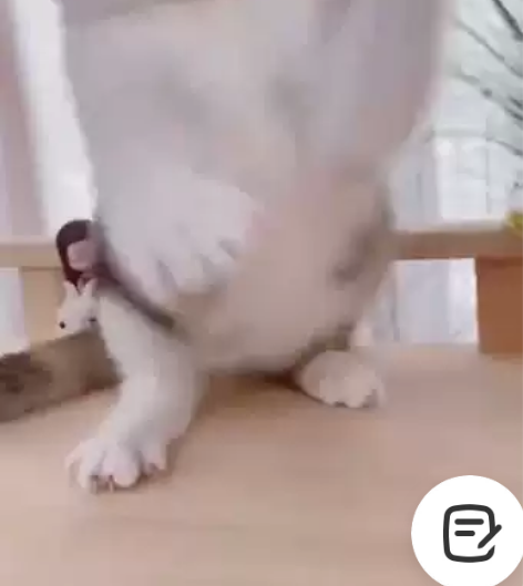 超漂亮彩金妹妹 脸蛋超可爱 感兴趣的话点“...