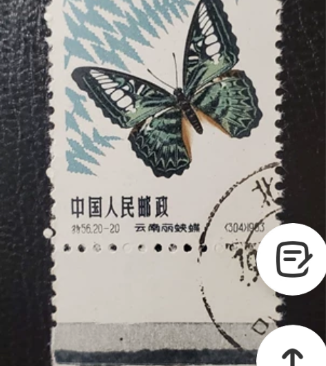 [第五百二十篇]蝴蝶50分，特56(20-...