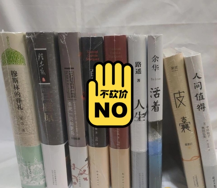 百年孤独 时间简史，皮囊 活着，摆渡人，许...