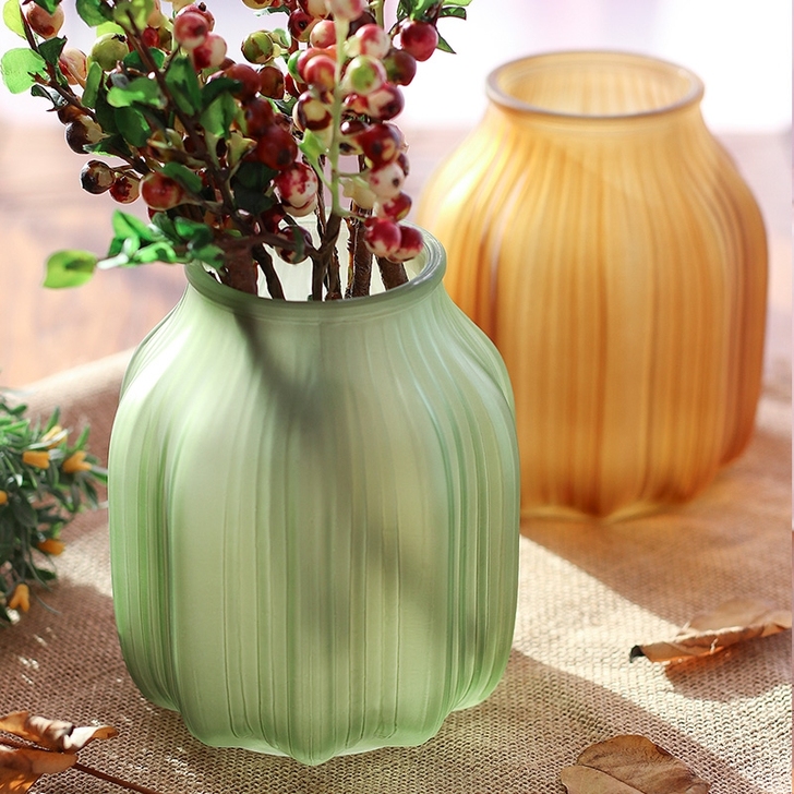 花瓶玻璃花瓶套装 客厅摆件插花绿萝富贵竹百...