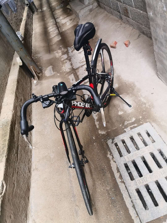 品牌型号：凤凰