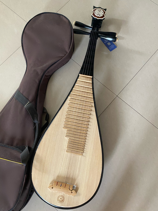 妈妈心血来潮买的琵琶