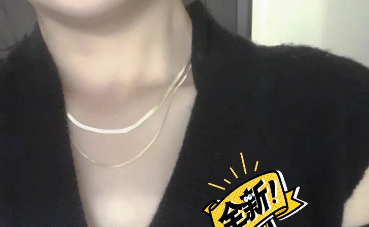 欧美简约双层金色锁骨项链女蛇骨链颈链