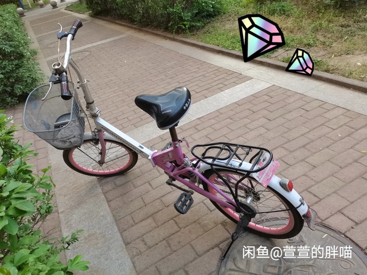 凤凰晟象自行车，上大学时候骑的