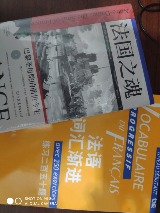 法语词汇练习与法国之魂，全新 低价出售