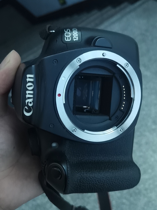 佳能1200D，单机身，有电池，品牌座充，...