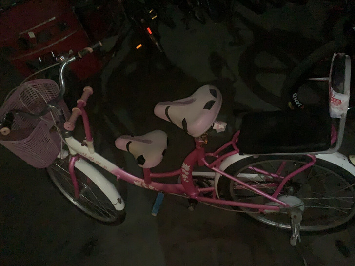 母子自行车 亲子自行车 双人带人自行车朝...