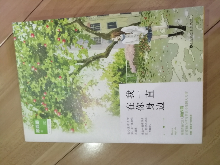 顾西爵青春文学小说和其他小说