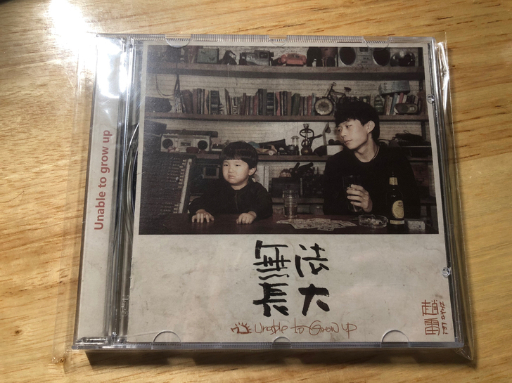 赵雷 无法长大 cd