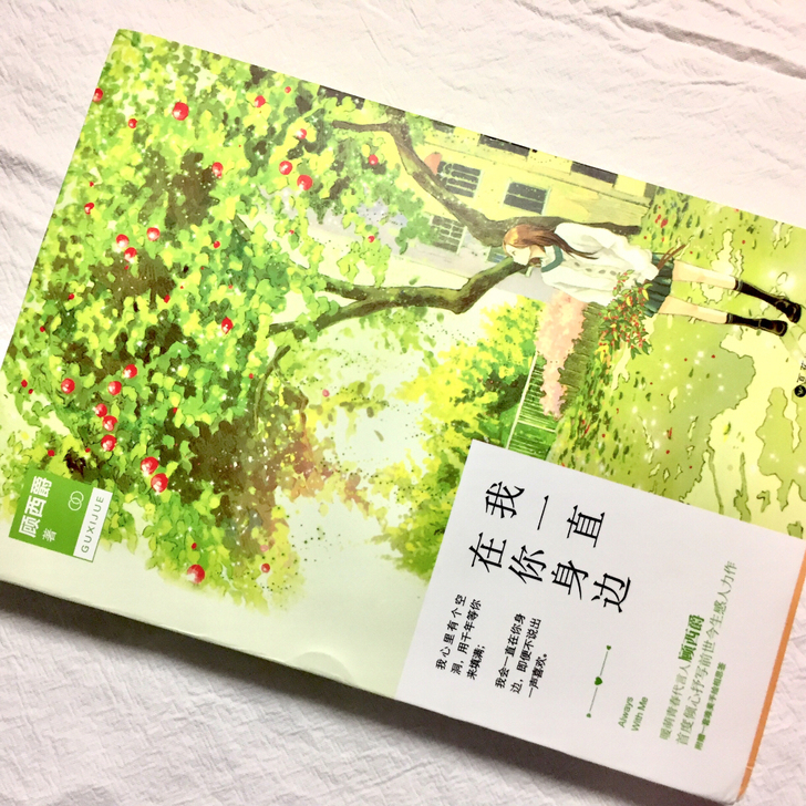 《我一直在你身边》 只看过一遍 内容还不错