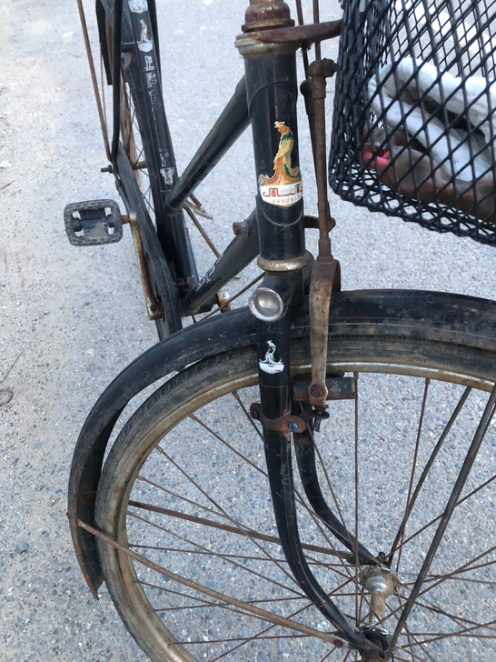 品牌型号 凤凰自行车，新旧程度 旧，车在鲅...