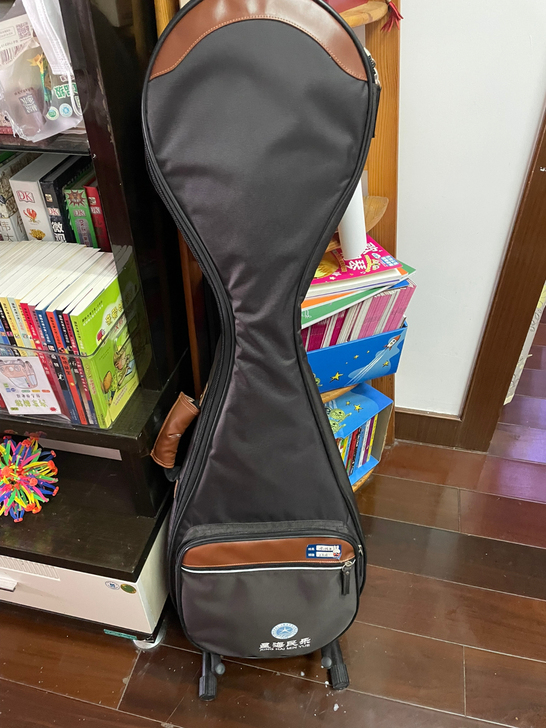 星海的琵琶，入门级的，8911-2，孩子刚...