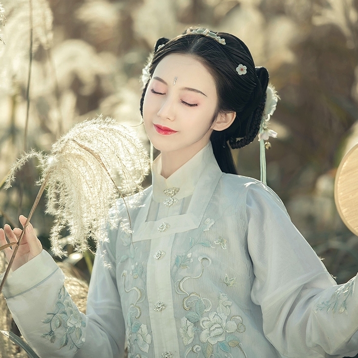 钟灵记子衿比甲对襟立领汉服