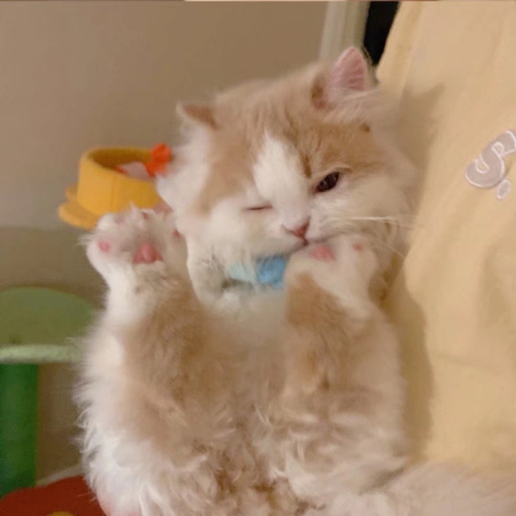 收汉服，尺码s或者m，有爱明制宋制。打骨折...