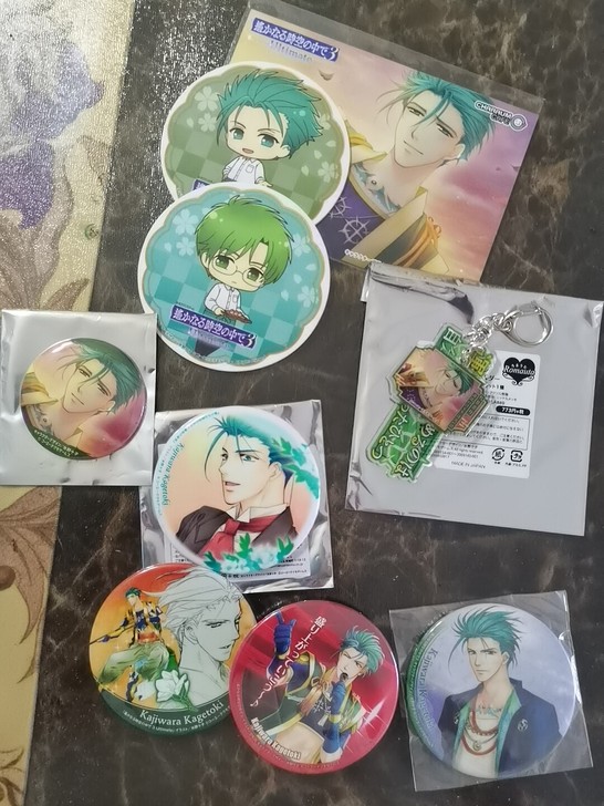 遥远时空中3 梶原景时 平敦盛 有川让