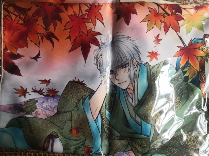 出遥远时空中3平家双花布海报