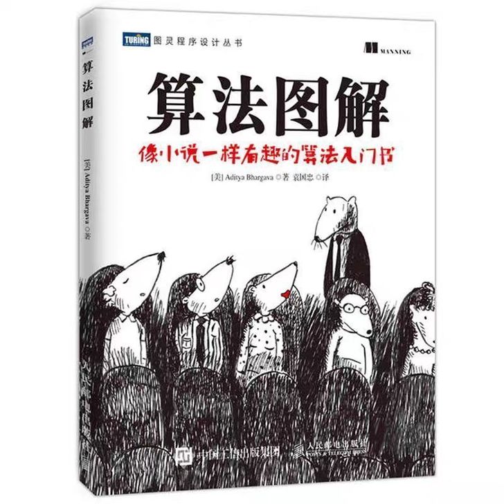 算法图解 算法基础入门教程 计算机编程设计...