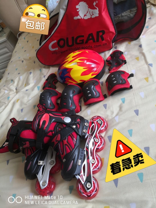 美洲狮，直排轮，