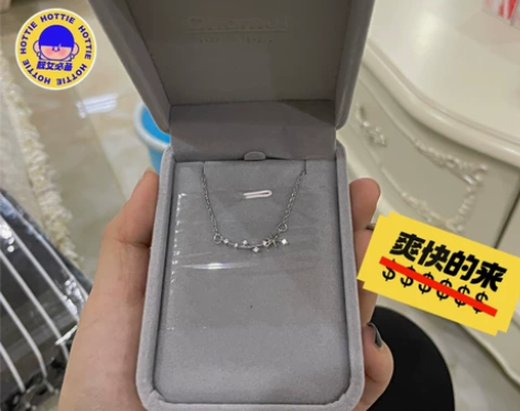 【全新出售】新加坡代购CHOMEL项链女星...