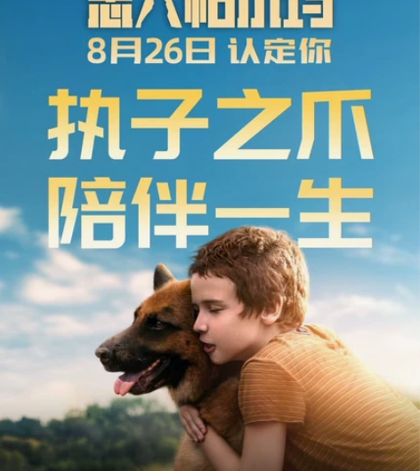 忠犬帕尔玛  电影票低价代购，任意城市任意...