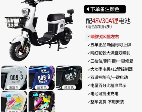 五羊新品009-3三代电动车新国标电瓶车6...