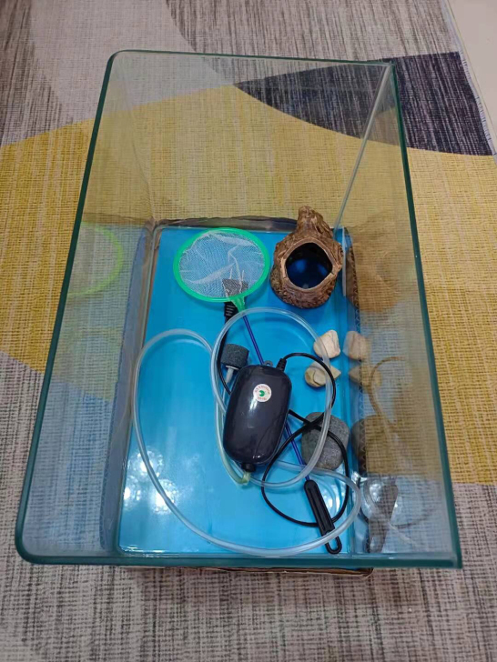 孩子买回来只养了一天鱼，第二天就不养了，氧...