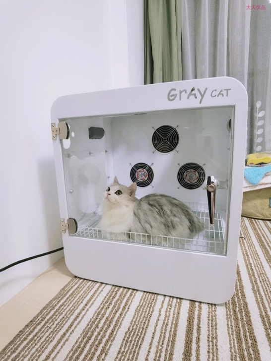 宠物全自动烘干箱猫咪家用静音烘干机狗狗洗澡...