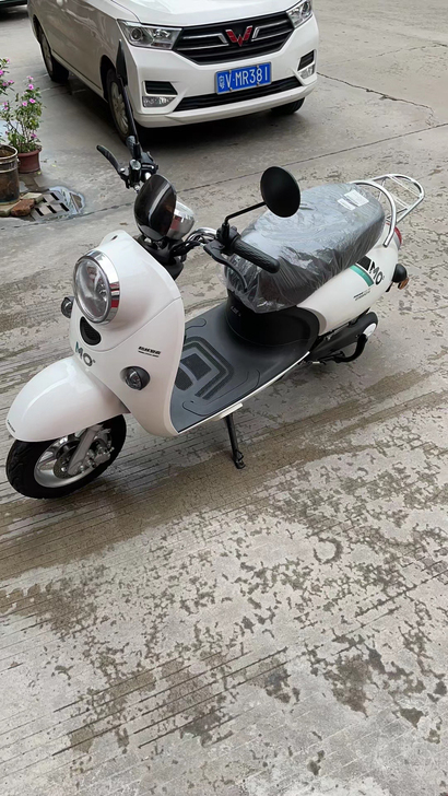 全新电动车 颜色任选 5大电池