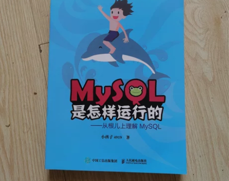 双色 MySQL是怎样运行的 从根儿上理解...