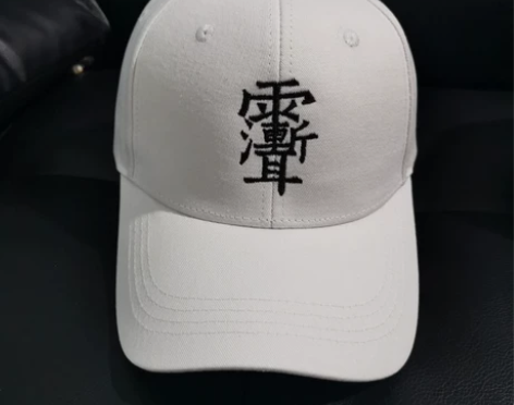 时尚帽子雨渐耳棒球帽子棉硬顶刺绣遮阳保暖男...