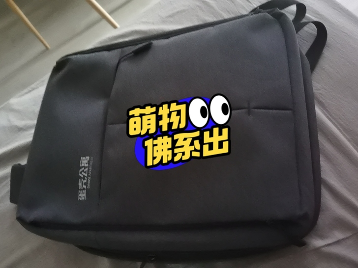 笔记本双肩背包，之前蛋壳公寓入职送的，不喜...