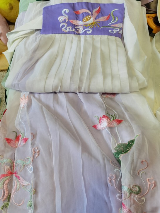 白菜齐胸素挽华裳借清辉阁风流子