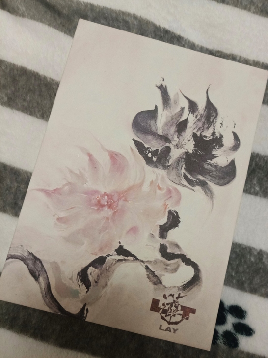 出张艺兴四胎实体专辑