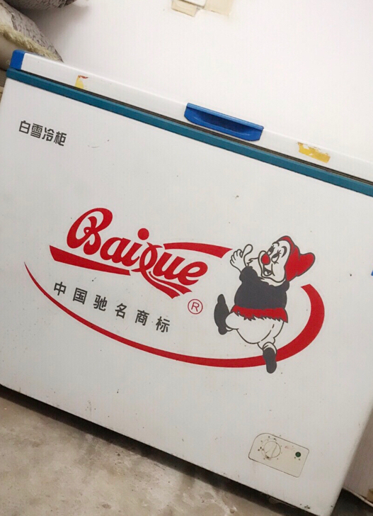 白雪冷柜，去年春天买的，没用几个月一直闲置...