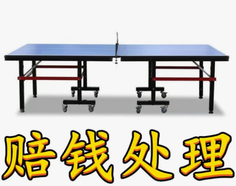 【全新包邮】双鱼乒乓球桌家用折叠移动式标准...