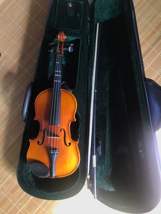 小提琴。1/8。成色还行。 实体店购入