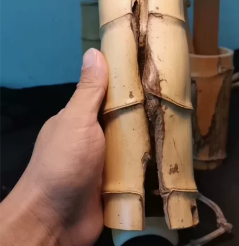 玉竹异形破竹笔筒花器装饰品摆件，势如破竹摆...