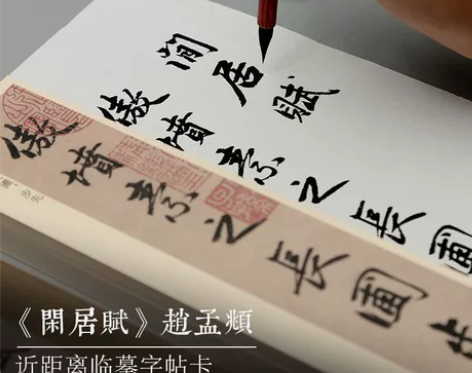 学书法赵孟頫闲居赋近距离字帖卡 读好贴，写...