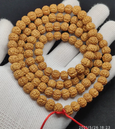 9*7印尼梅花双龙平头平尾树祖树神小金刚菩...