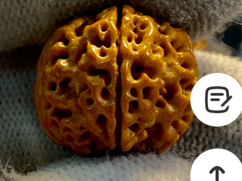 原生态籽的极致美学，回到大金刚完全没打药没...