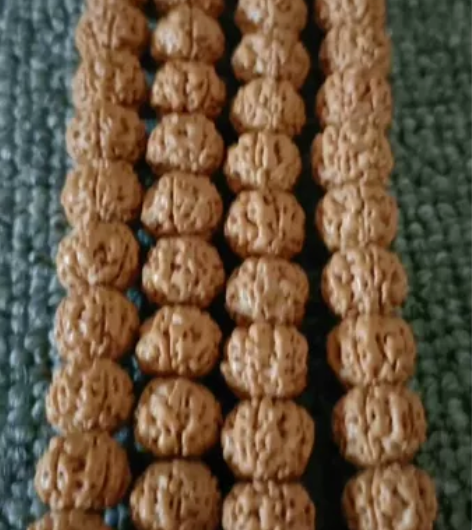 文玩小金刚，室内无灯光拍摄，平头平尾树祖小...