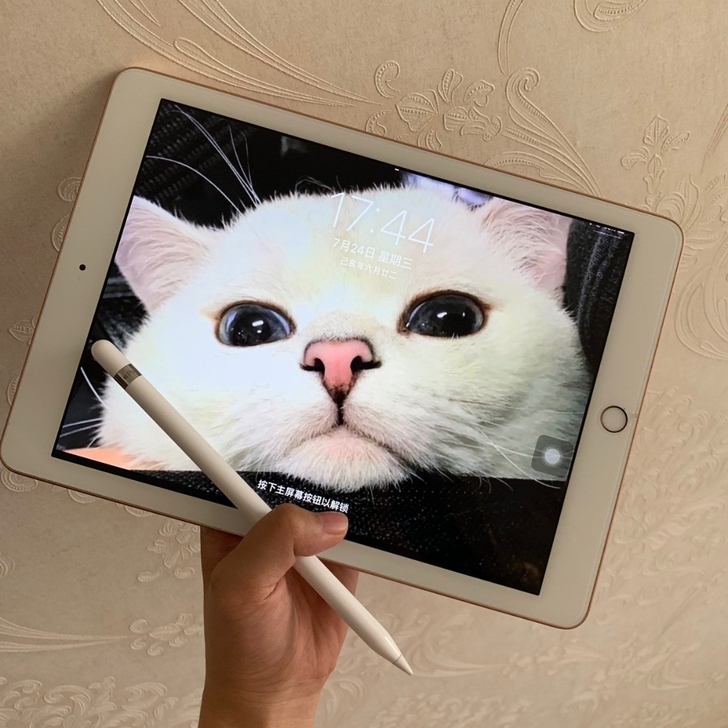 个人闲置出 ipad 2019款 iPad...