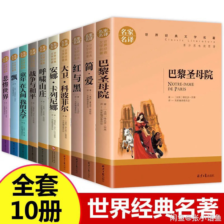 【全新】世界名著十大名著巴黎圣母院简爱飘悲...