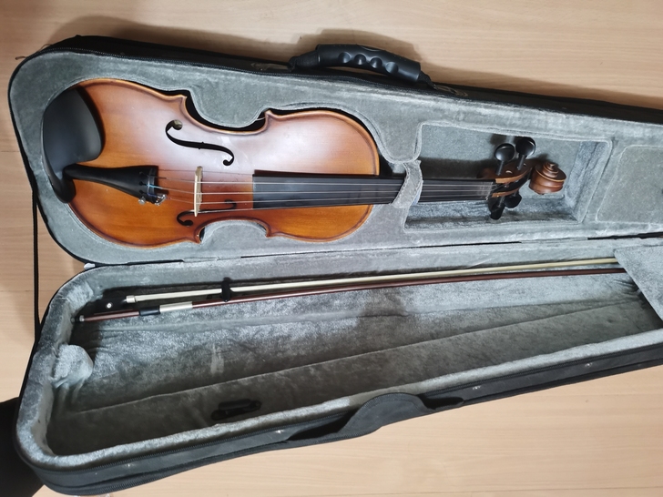 小提琴离乌搬家