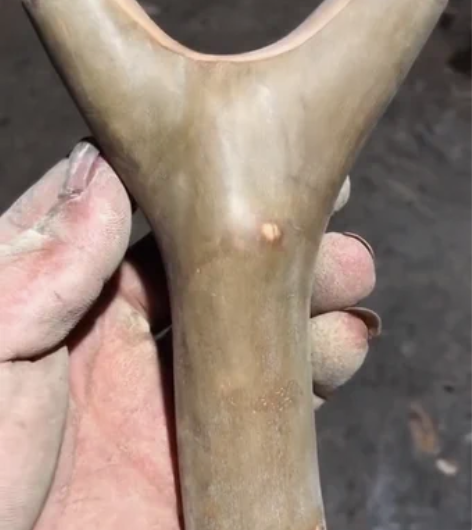 油茶木原皮弓，重配98/18/145，超级...
