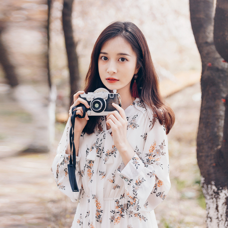 雪纺连衣裙女2019新款夏碎花长袖收腰显瘦...