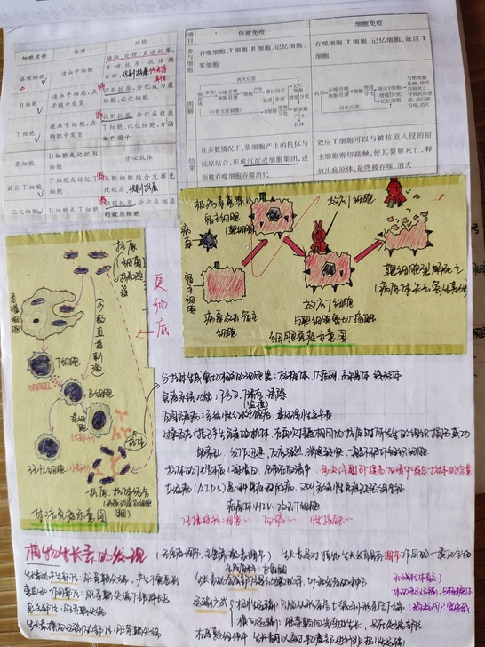 高中生的救命稻草!!!